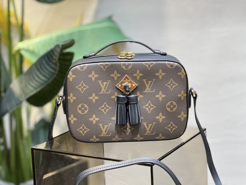 LV Handbags 152